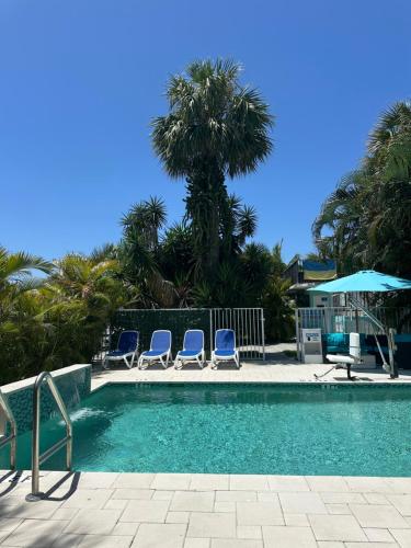 a swimming pool with chairs and a umbrella and palm trees at White Horse Motel in Lake Worth