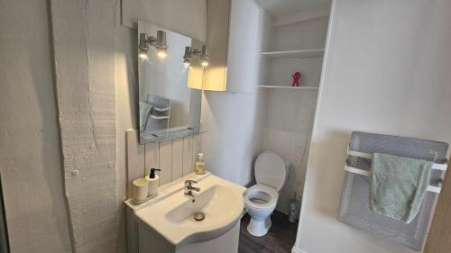 une petite salle de bain avec un lavabo et des toilettes dans l'établissement Au Vieux Palais - City Center Studio, à Rouen