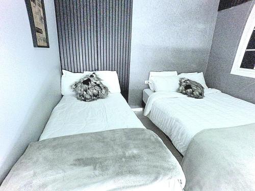 two beds in a room with cats laying on them at BUSHWA APARTMENTS # 4 , 5 estrellas in Oranjestad