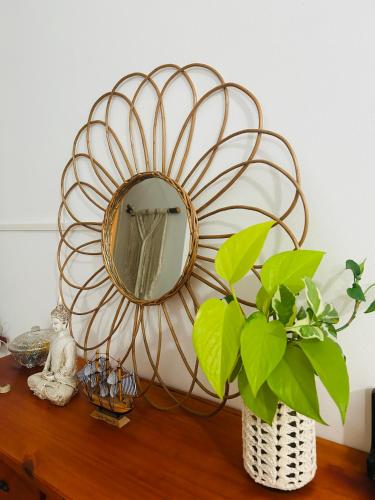a mirror on top of a wooden table with a plant at VGC hospedaje tranquilo a 5 min del aeropuerto pet friendly in Ezeiza