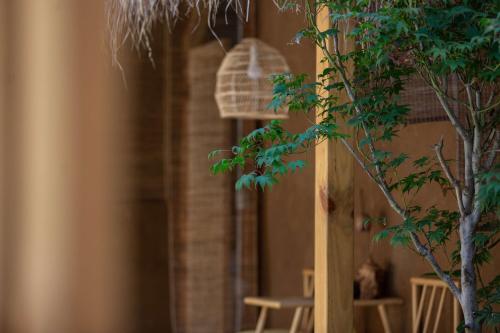 a bird cage sitting on the side of a building at Lijiang half yard hotel in Lijiang