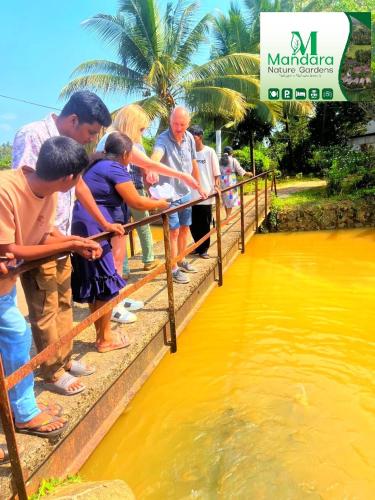 a group of people standing on a fence looking at water at Mandara Nature Gardens in Veyangoda
