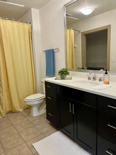 a bathroom with a sink and a toilet and a mirror at Mi Casa es su Casa in Dallas