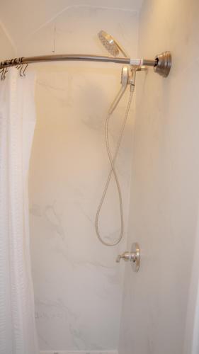 a shower with a blow dryer in a bathroom at African Oasis Luxury Inn at the Gallery in Mount Vernon