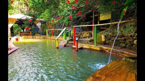 Tia's Bamboo Cottages Restaurant, Bar & Sulphur Spa