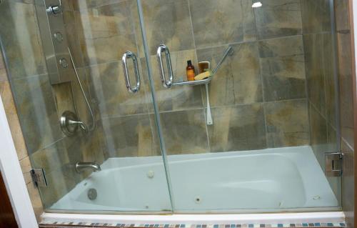 a shower with a glass door and a tub at African Oasis Luxury Inn at the Gallery in Mount Vernon