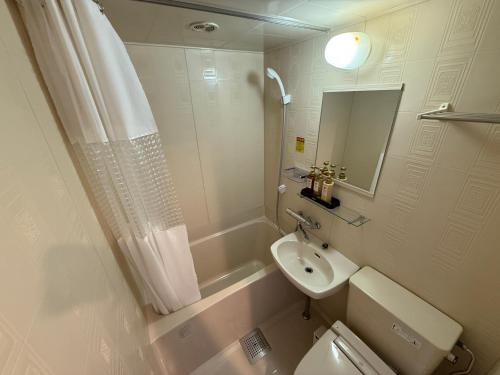 a bathroom with a sink and a toilet and a mirror at Mfr伊勢志摩 本館 貸切リゾートホテル in Toba