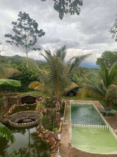 a swimming pool in a garden with a palm tree at Amazon Paradise WiFi Starlink Work or Relax in Morales