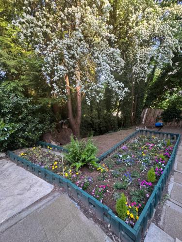 a garden with flowers and plants in a yard at Sasha-Home 538 Brookmere Ave in Coquitlam