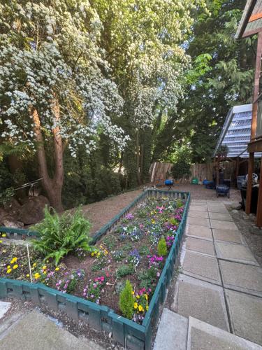 a garden with flowers and plants in a yard at Sasha-Home 538 Brookmere Ave in Coquitlam
