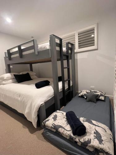 a bedroom with two bunk beds in a room at Beachfront Getaway in Torquay