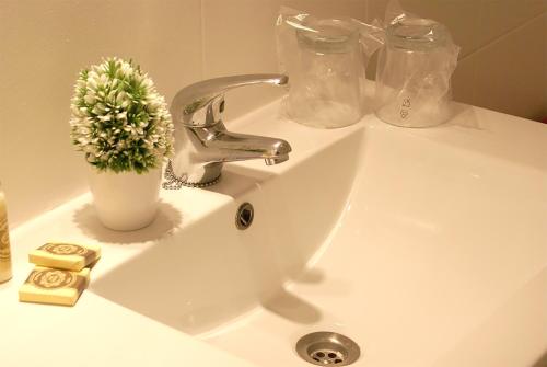 a bathroom sink with a plant in a vase on it at Nove Julho Apartment in Porto