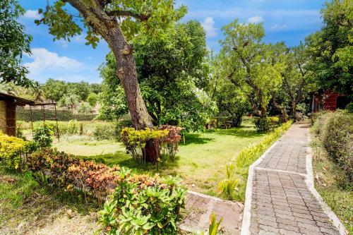 Zahrada ubytování Palette Palghar Irayos Resort Lifestyle Retreat