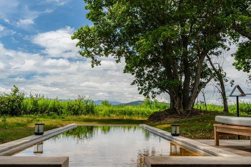 a pool of water with a table and a tree at SONEKA in Kitahiroshima
