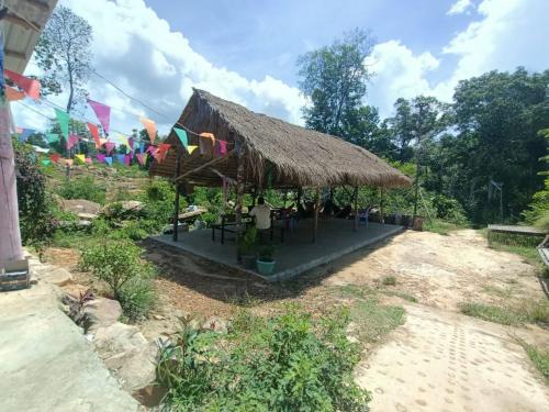a small hut with a thatched roof at Blue Zone Hostel in Koh Rong