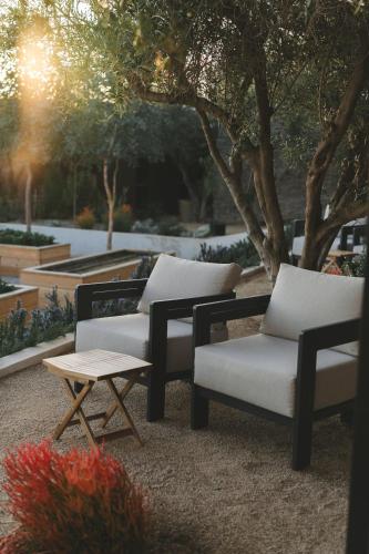 two chairs and a coffee table in front of a tree at Casa Olivea in Valle de Guadalupe