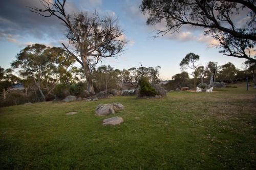 a field with a tree and a rock in the grass at Jillamatong House in Moonbah
