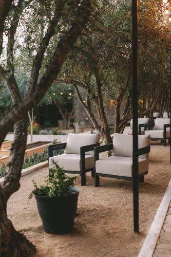 a group of chairs and trees in a park at Casa Olivea in Valle de Guadalupe
