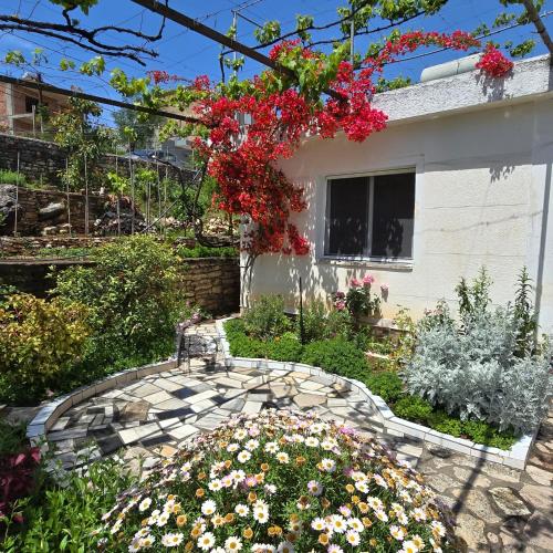 Gallery image of Flora’s place in Sarandë