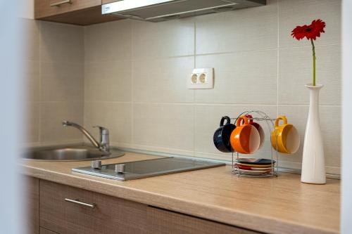 Gallery image of Hera Apartments in Donji Stoliv