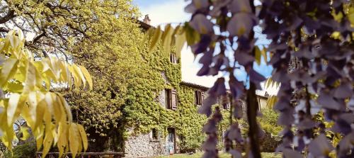 a building covered in trees and purple flowers at Valle del Tione in Canonica