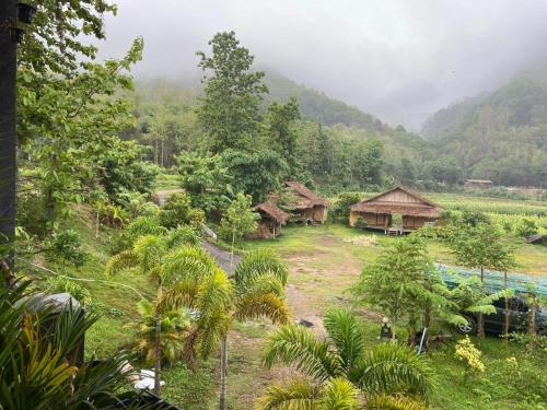 un groupe de cabanes dans un champ planté d'arbres dans l'établissement Peisanae Faikeng Resort, à Ban Na Kham
