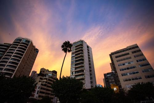 a palm tree in front of two tall buildings at Ocean view 1 BR Miraflores with parking in Lima