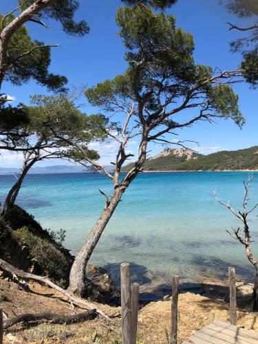 Photo de la galerie de l'établissement Villa Les Amandiers, à Draguignan