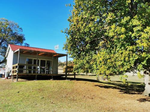 a small house with a porch and a tree at Rostrevor Pickers Cottage in Triabunna