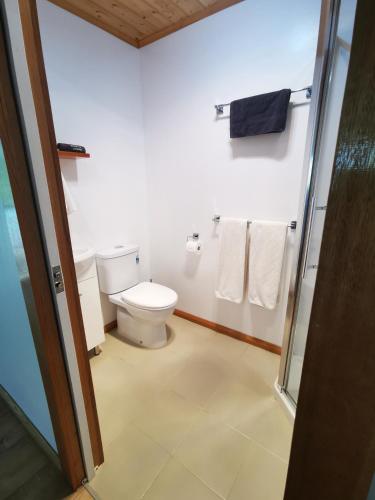 a bathroom with a toilet and a shower and towels at Rostrevor Pickers Cottage in Triabunna