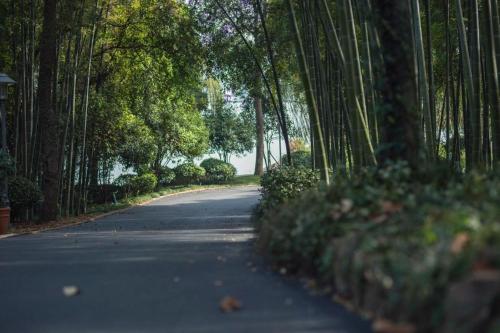 Gambar di galeri bagi Pingtian Bandao Hotel di Chizhou