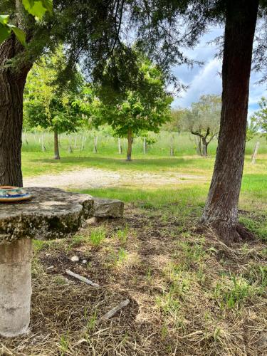 a park with a bench next to a tree at La Fonte B&B in Baranello
