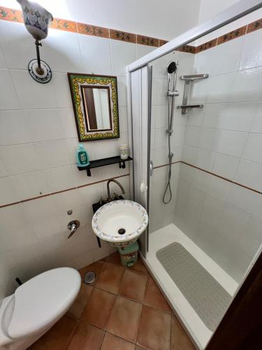 a small bathroom with a toilet and a shower at La Fonte B&B in Baranello