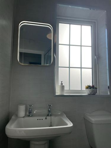 a bathroom with a sink and a mirror and a toilet at Buttercup Cottage in Dundrum