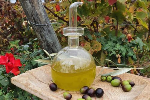 a bottle of olive oil on a cutting board with olives at Urlaub, wo die Toskana noch authentisch ist - Rustico aus 16Jh mit Infinity Pool in Pomarance