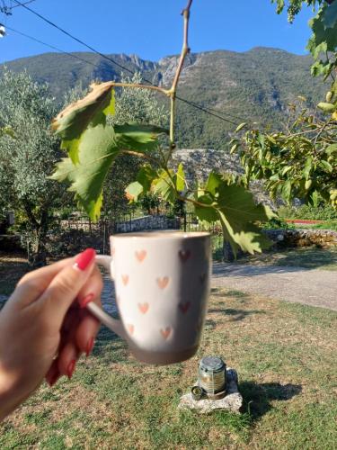 a person holding a cup with a cigarette at Sailor's Rustic House in Virpazar