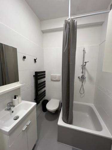 a white bathroom with a toilet and a sink at Home4you Katowice in Katowice