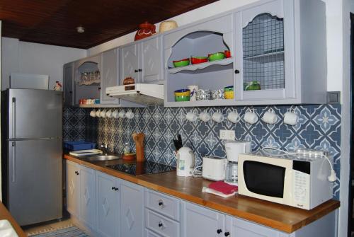 a kitchen with a counter with a microwave and a refrigerator at Spiti Limnos, Idyllisch Gelegen Im Orangenhain in Límnos