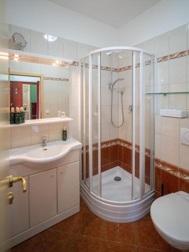 a bathroom with a shower and a sink and a toilet at OREA Resort Panorama Moravský kras in Blansko