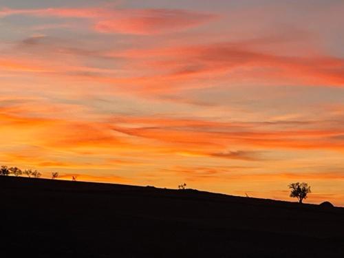 a sunset over a field with trees on a hill at Villa des Hauts Mogador in Essaouira
