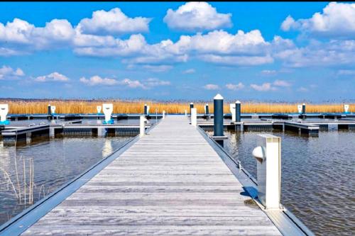 a wooden dock on the water with clouds in the sky at Tinyhouses am Neusiedlersee in Fertőrákos
