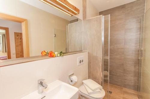 ザールバッハ・ヒンターグレムにあるSunnseitのバスルーム(トイレ、洗面台、シャワー付)