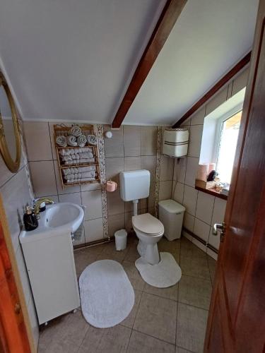 ein kleines Badezimmer mit Toilette und Waschbecken in der Unterkunft Casa Marandy in Sadu