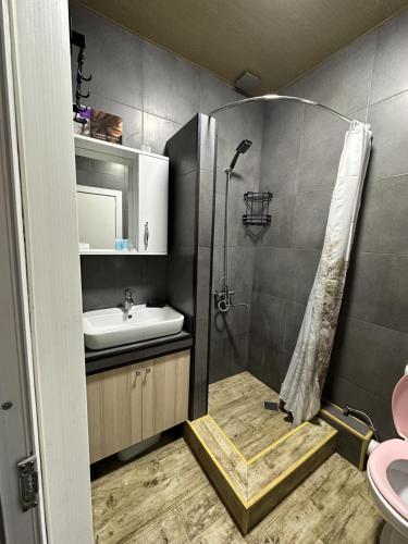 a bathroom with a shower and a sink at Apartnuca in Batumi