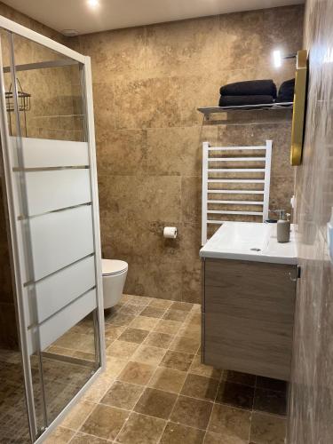 une salle de bain avec une douche, un lavabo et des toilettes dans l'établissement Grand Tamaris Hosting, à Arles