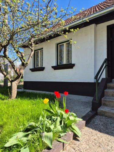 Old house by the stream