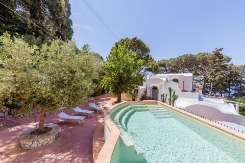 an image of a swimming pool with chairs and trees at La Perla Marina Suite in Capri