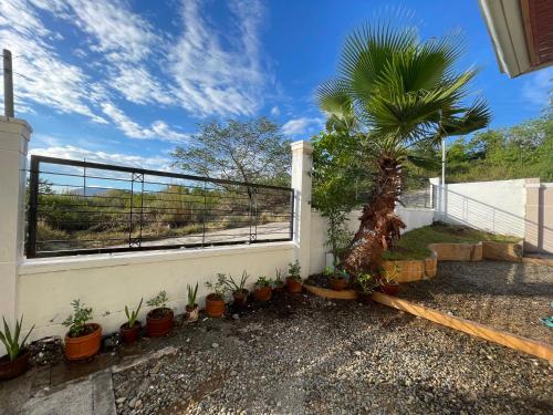 a patio with a fence and a palm tree at JTJ Guest House in Bantay