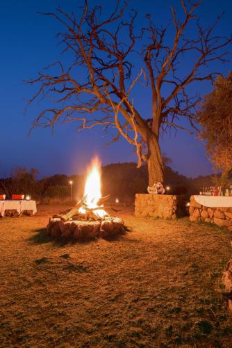 Φωτογραφία από το άλμπουμ του Tshukudu Bush Lodge σε Ledig