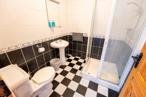 a bathroom with a toilet and a sink and a shower at Aras Ghleann Cholm Cille in Glencolumbkille